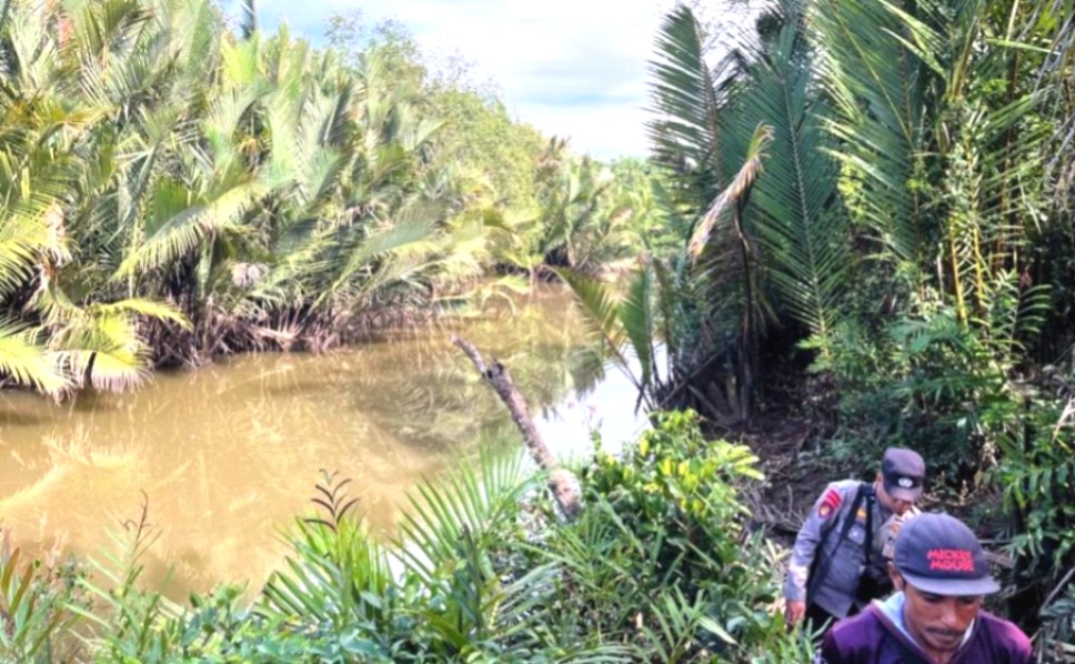 Pria di Batu Engau Tewas Diterkam Buaya saat Menjala Udang