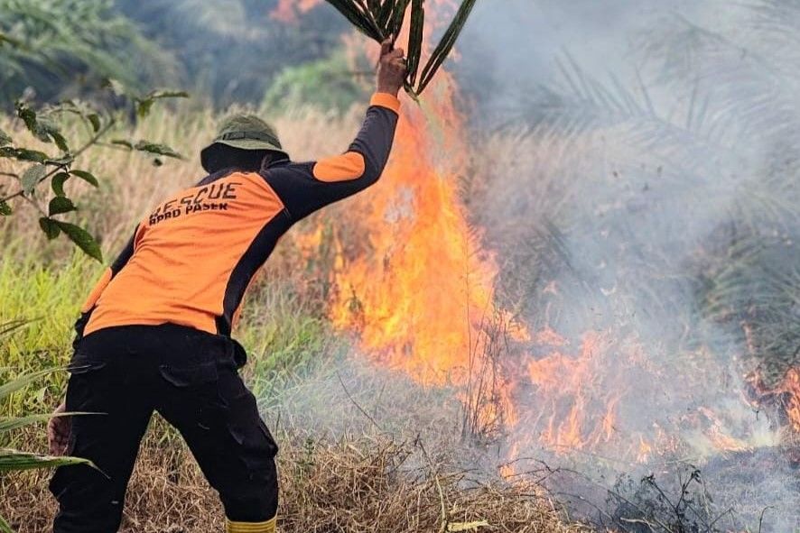Kebakaran hutan di Paser