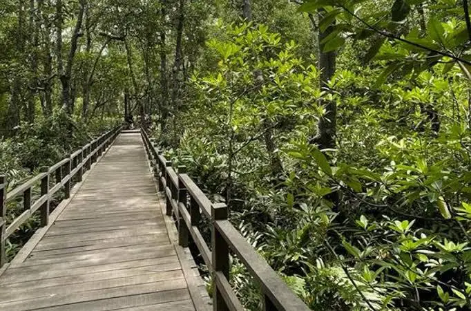 Desa Wisata Klempang Sari Juara 1 Tingkat Provinsi, Siap Wakili Kaltim di Lomba Nasional