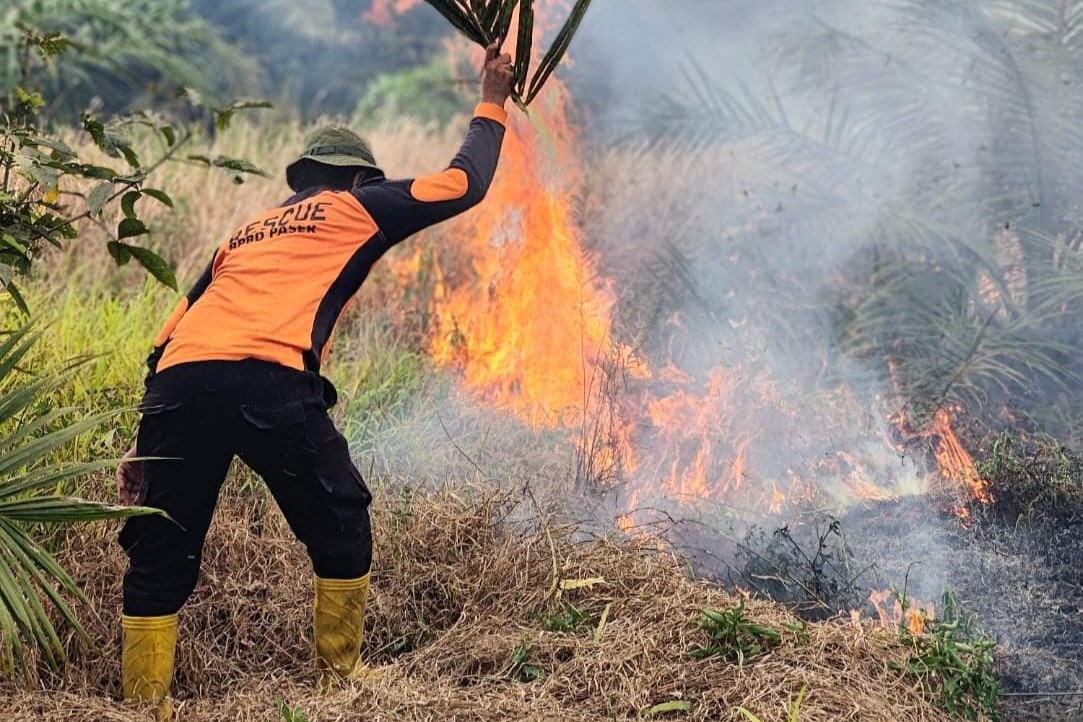 Karhutla Satu Hektare Lahan Terbakar di Paser
