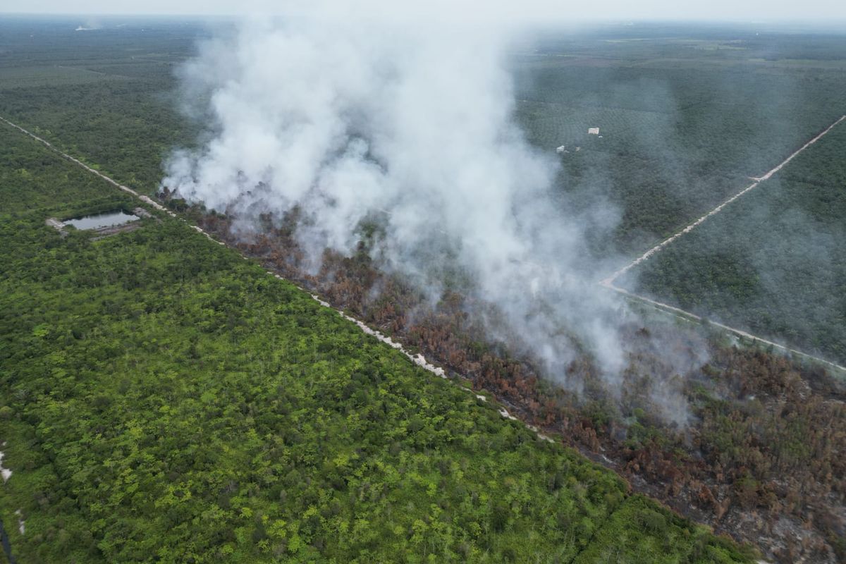 13 Hektare Lahan Terbakar di Paser