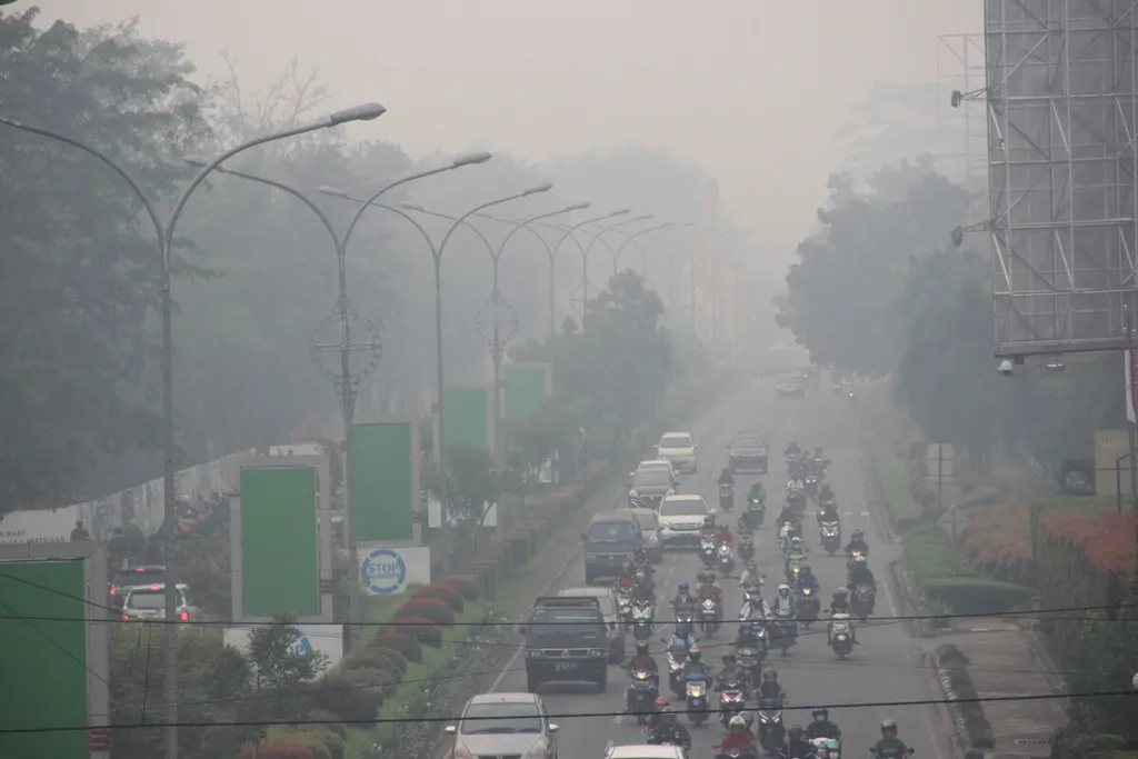 900 Kasus ISPA Tercatat di Paser hingga Juli 2026, Warga Diminta Waspadai Paparan Asap