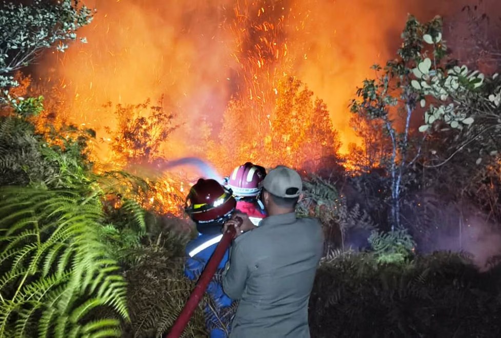 Kemarau Mengganas! 205 Karhutla Terjadi di Paser, Pemadaman Hutan Tak Bisa Andalkan Air