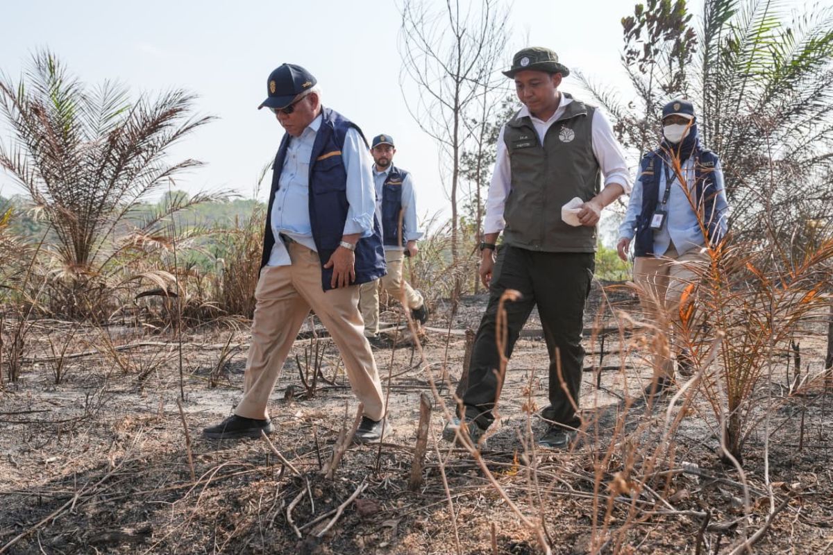 Kemenhut Bekukan Izin 3 Perusahaan di Kaltim Buntut Karhutla, Salah Satunya Berada di Paser